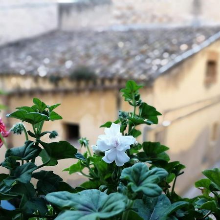 Al-Zabut Bed & Breakfast Sambuca di Sicilia Exterior foto
