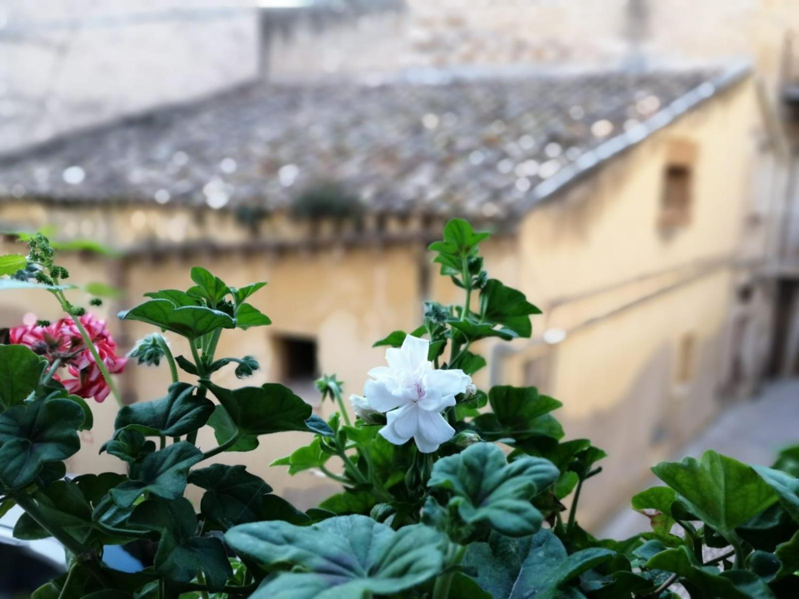 Al-Zabut Bed & Breakfast Sambuca di Sicilia Exterior foto